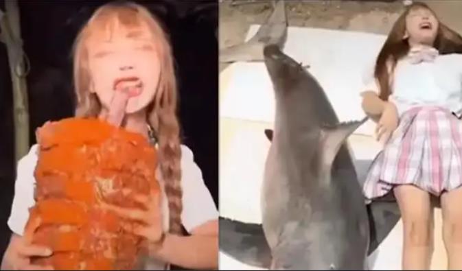 Internet celebrity anchor live broadcasts incident of eating great white shark