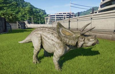 The dinosaur with the largest skull in the world: Torosaurus