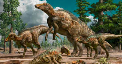 The origin and evolution of Yang's Laiyangosaurus