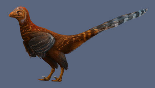 125-million-year-old dinosaur Carnivalosaurus tengni