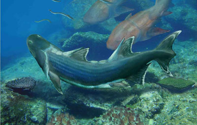 420-million-year-old ancient fish with strange scales