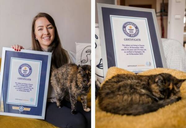 The world’s oldest cat, certified by Guinness, is equivalent to 120 years in humans