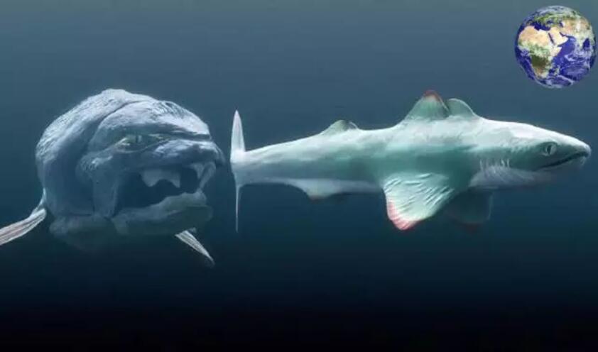 How strong is Dunkleosteus, the ocean giant that can swallow sharks?