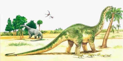 The Ten Largest Dinosaurs_Top Ten Dinosaur Size Rankings