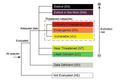 IUCN Red List Endangerment Levels and Criteria