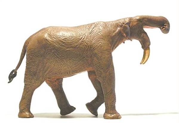 Prehistoric “weird” elephants, prehistoric relatives of living elephants