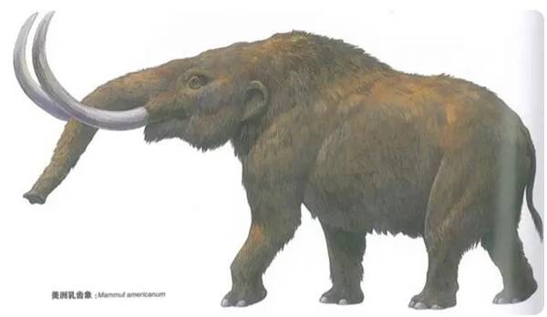 American Mastodon