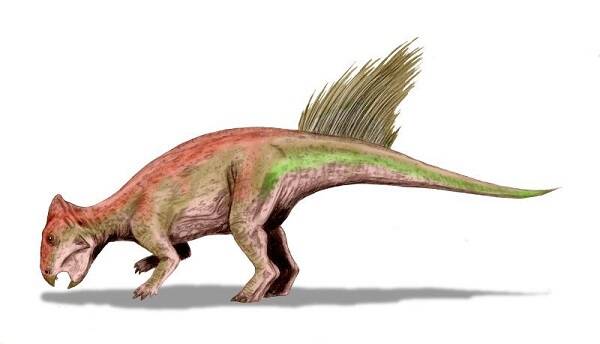 Dinosaur fossils discovered in Liaoning_Ranking of survival age of dinosaurs discovered in Liaoning