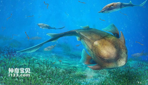 Unicorn fish swimming in the Silurian ancient ocean (the evolution of jaws from fish to humans)