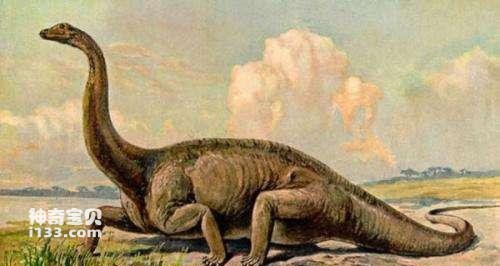 This kind of dinosaur walks like an earthquake. Is Seismosaurus really the largest dinosaur in the world?