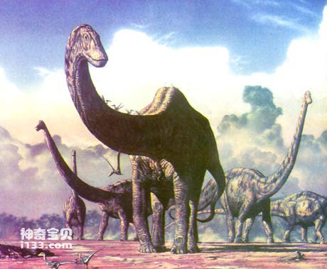 Seismosaurus is the largest dinosaur (body is as big as a football field)