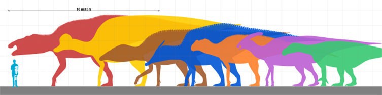 Size comparison chart of several giant ornithopod dinosaurs
