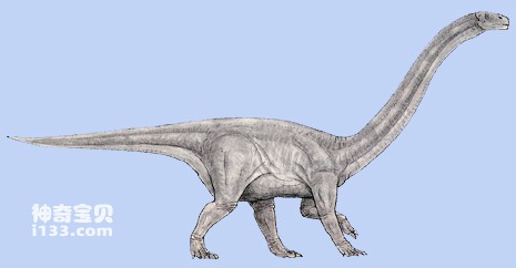 Physical characteristics of Kunmingsaurus (one of the earliest sauropod dinosaurs)