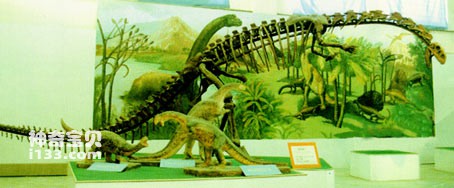 Physical characteristics and living habits of Yunnanosaurus
