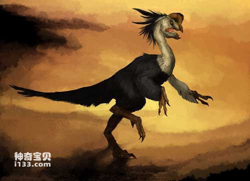 The fossil origin and body characteristics of Oviraptorosaurus