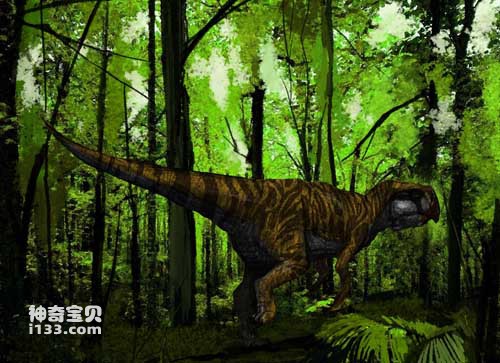 The fossil origin and body characteristics of Psittacosaurus