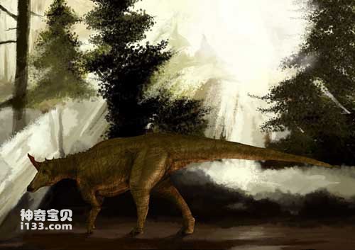 The fossil origin and body characteristics of Qingdaoosaurus