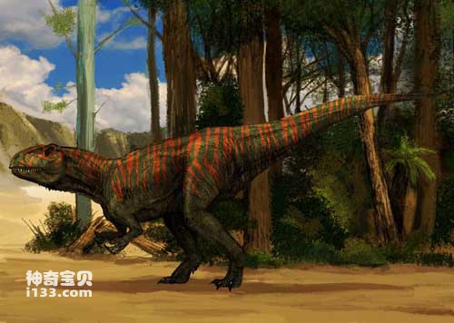 The fossil origin and body characteristics of Allosaurus