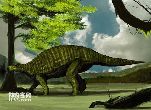 The fossil origin and body characteristics of Nodosaurus