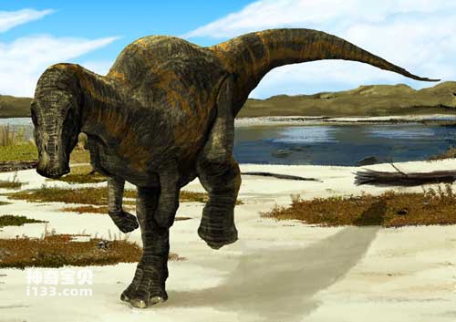 The fossil origin and body characteristics of Hadrosaurus