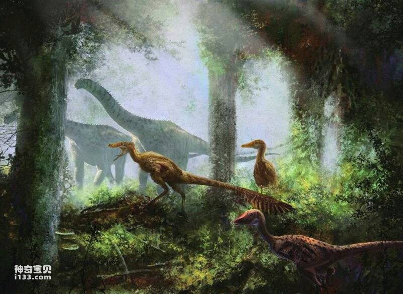 Fossil origin and body characteristics of Sinornithosaurus