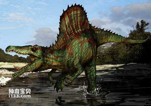The fossil origin and body characteristics of Spinosaurus