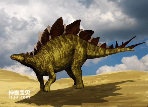The fossil origin and body characteristics of Stegosaurus
