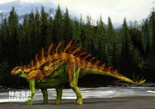 Fossil origin and body shape characteristics of Huayangosaurus