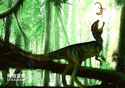 The fossil origin and body characteristics of Dilophosaurus