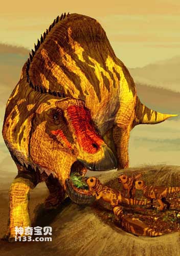 Fossil origin and body shape characteristics of Sisosaurus