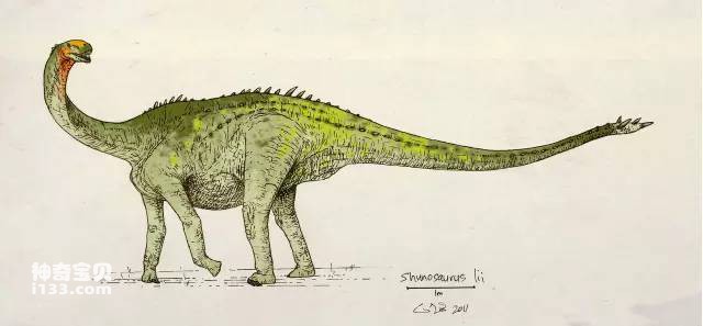 Fossil origin and body characteristics of Sinoraptor