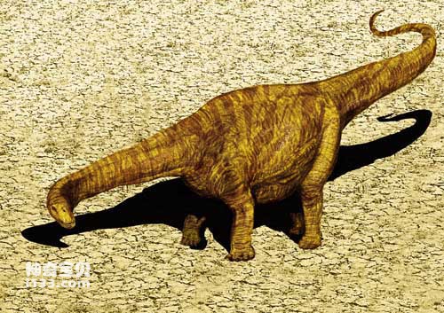 The fossil origin and body characteristics of Apatosaurus (Brontosaurus)