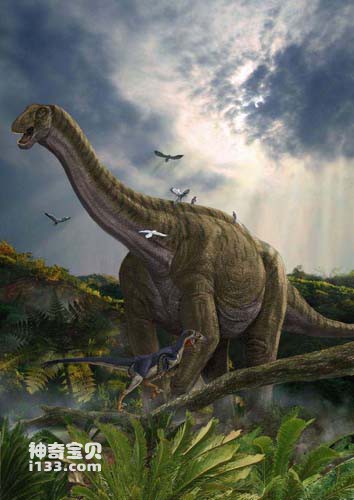 The fossil origin and body characteristics of the Yellow River giant dragon