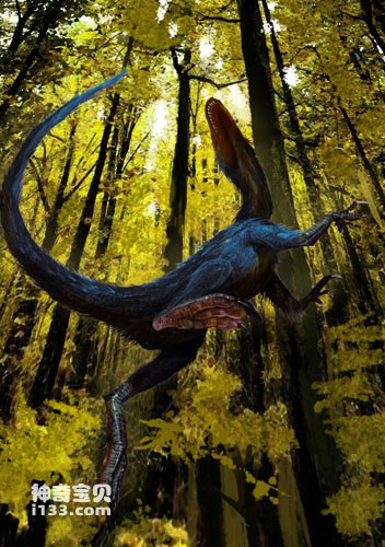 Fossil origin and body characteristics of Sinosauropteryx