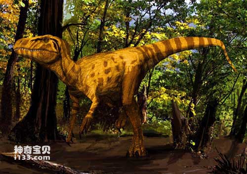 The fossil origin and body characteristics of Eoraptor