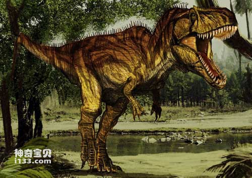 The fossil origin and body characteristics of Giganotosaurus