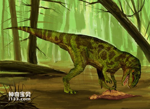 Fossil origin and body characteristics of Yongchuanosaurus