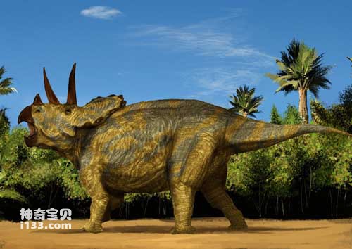 Triceratops fossil origin and body characteristics