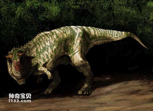 The fossil origin and body characteristics of Carnotaurus