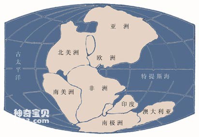 Continental drift theory and evidence