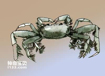 Armored arthropod
