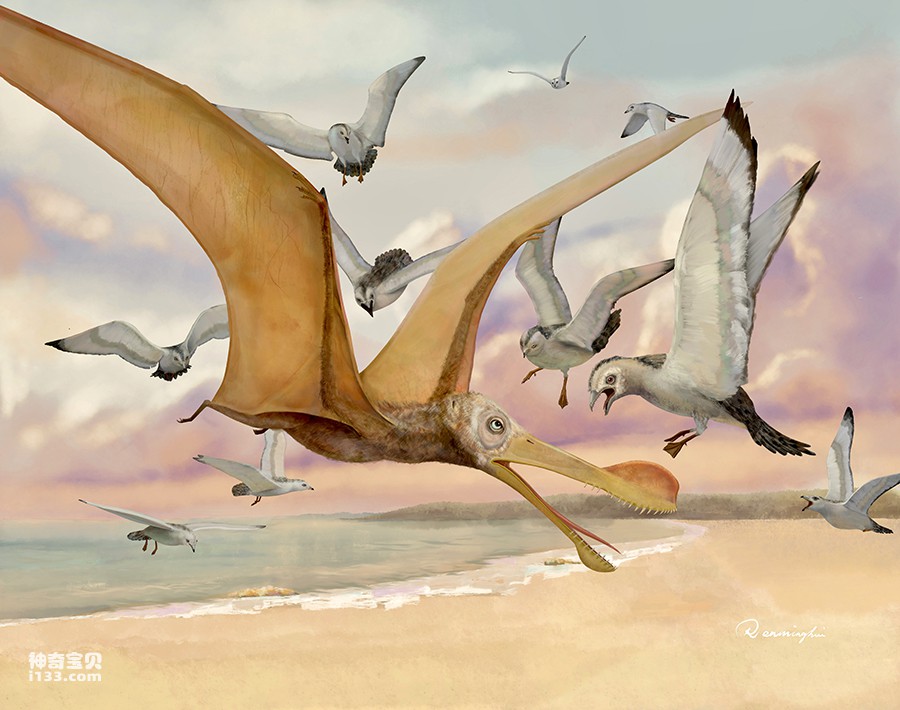 The evolutionary history of pterosaurs (the change process of pterosaurs)