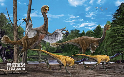 Fossils and restoration of Gigantoraptor Erlian