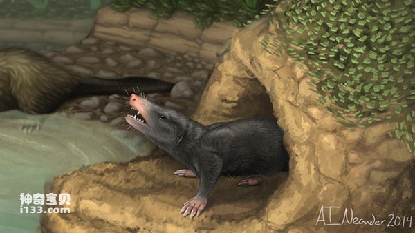 The earliest burrowing and arboreal mammals