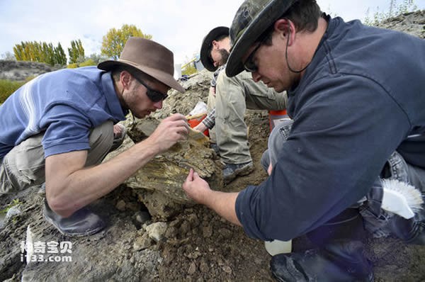 Complete 70,000-year-old mammoth fossil discovered in Idaho, USA