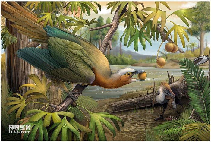 Why did birds survive the extinction event?