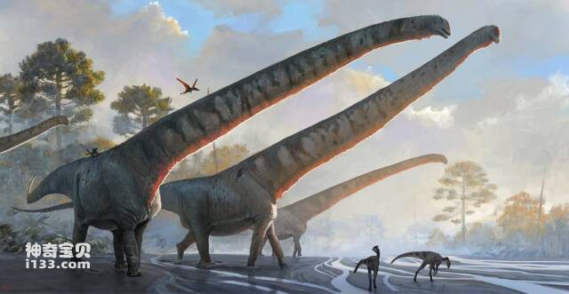 Dinosaur with the longest neck ever discovered in China
