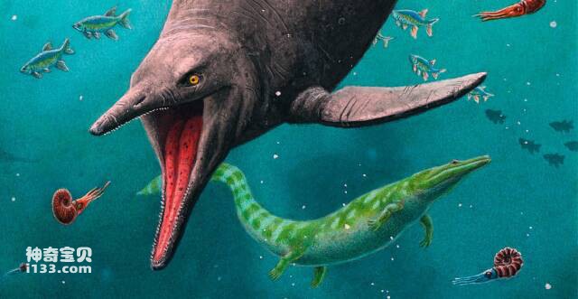Earliest ichthyosaur fossil found on Arctic Circle island