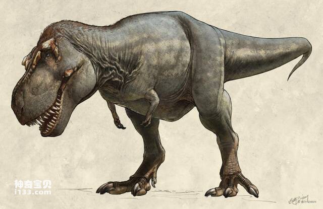 What did Tyrannosaurus Rex eat? (The habits of Tyrannosaurus Rex)