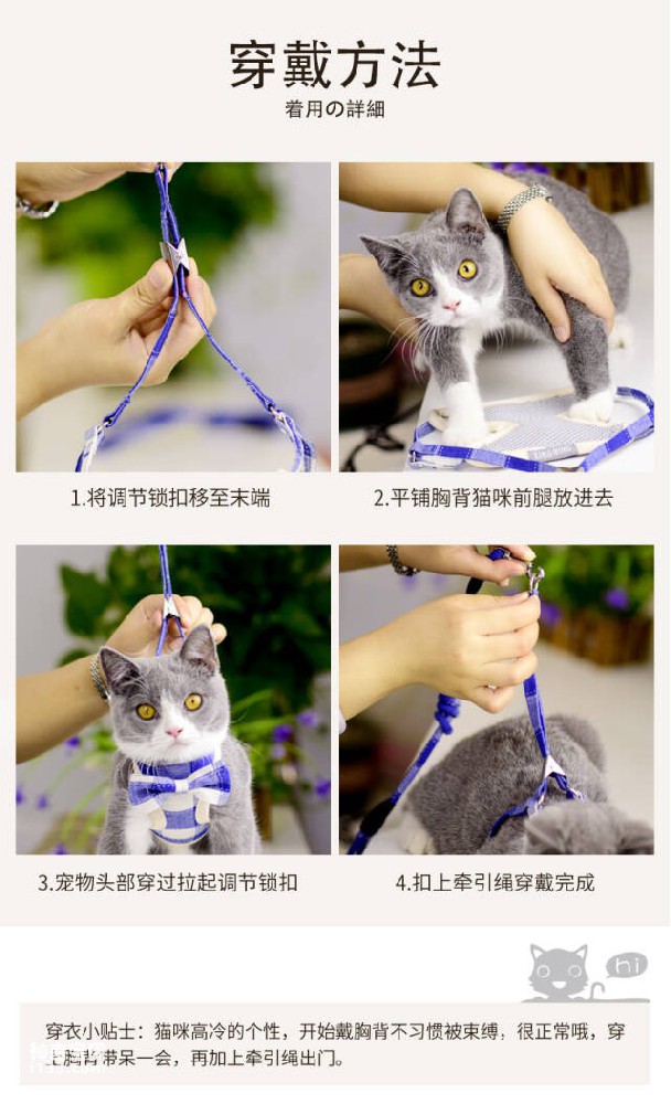 How to put on a cat leash